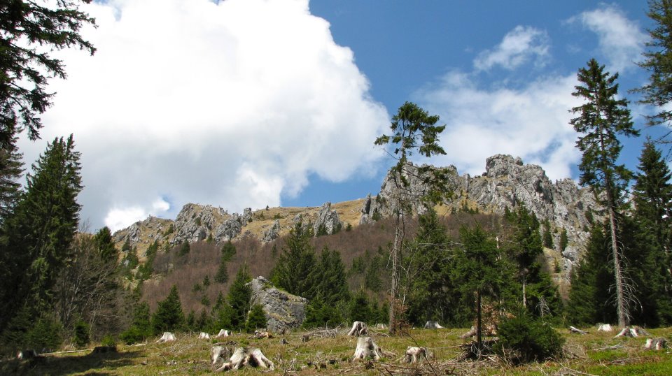foto: Janez Nastran